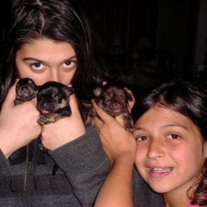 Meet your Posher, Thomas